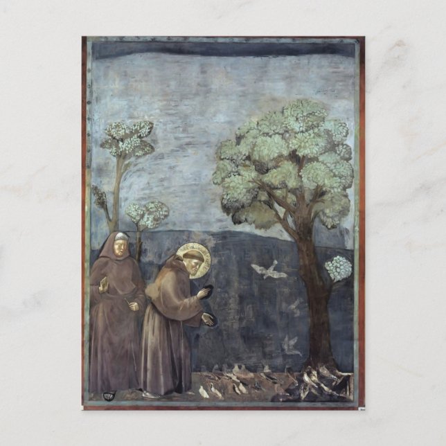 Giotto: St. Francis Preaching to the Birds Postkarte (Vorderseite)