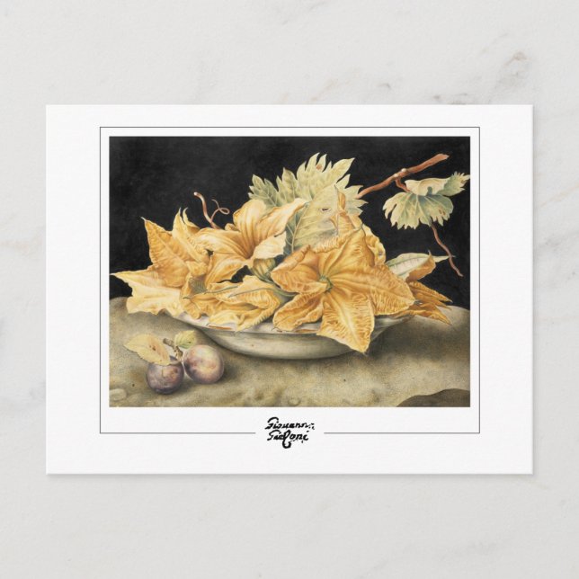 Giovanna Garzoni #1 Postkarte (Vorderseite)