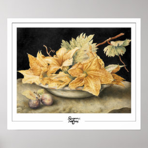 Giovanna Garzoni Zedign Art Poster #1