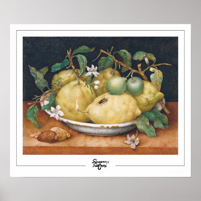 Giovanna Garzoni Zedign Art Poster #4 (Vorne)