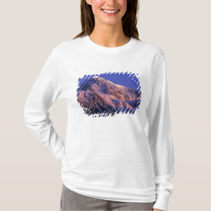 Gipfel des Denali-Gipfels Mt. McKinley) bei T-Shirt