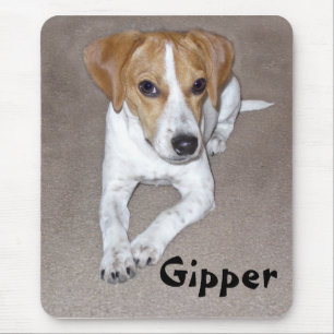 Gipper Gekritzel Mousepad