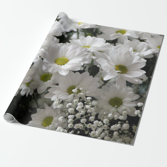 Gipskraut & Daisies Geschenkpapier (Ungerollt)