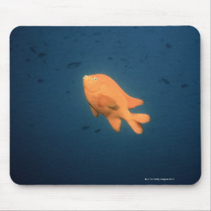 Girabaldi Mousepad