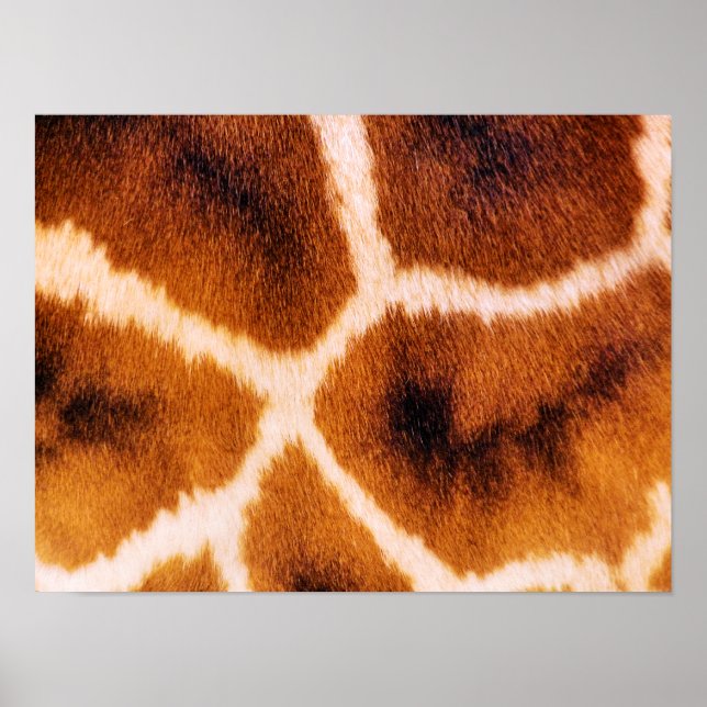 GIRAFEN POSTER (Vorne)
