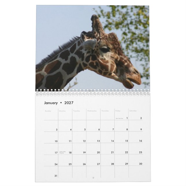 Giraffe 2010 kalender (Jan 2027)