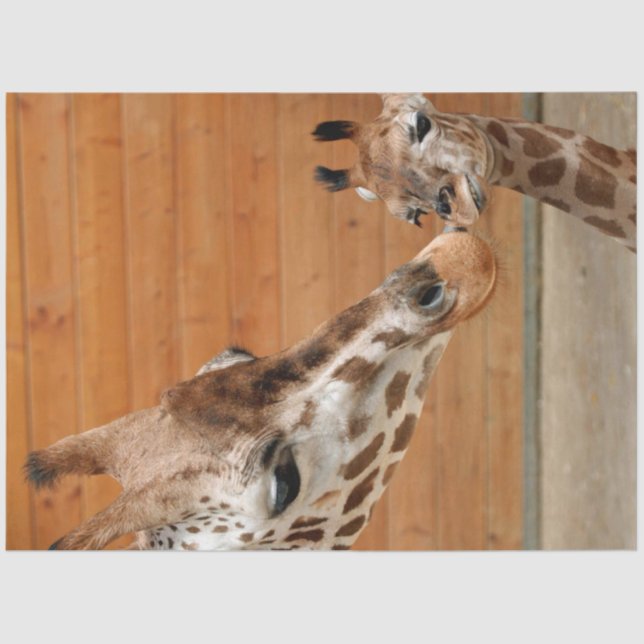 Giraffe_20151101_by_JAMFoto Seidenpapier (Vorderseite)