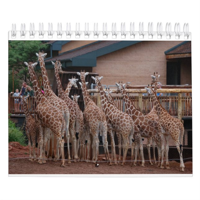 Giraffe 2022 5,5" x 7" Kalender (Titelbild)