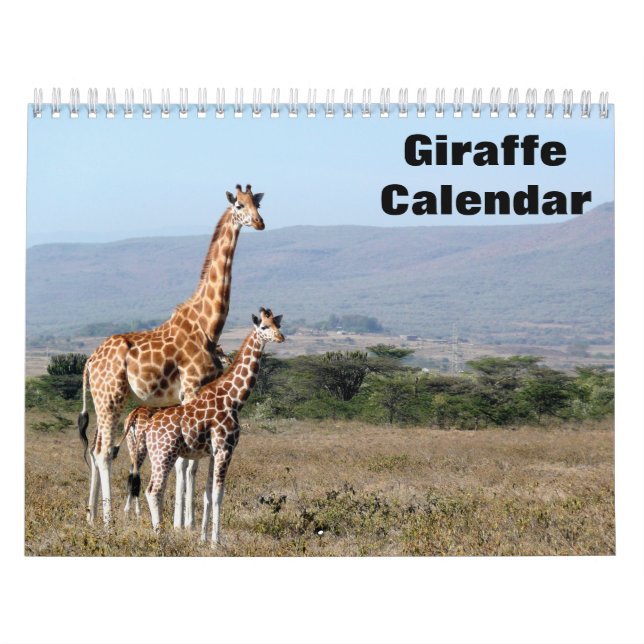 Giraffe 2025 kalender (Titelbild)