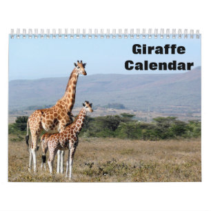 Giraffe 2027 kalender
