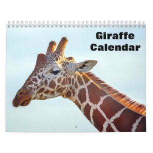 Giraffe 2027 kalender