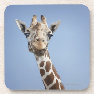 Giraffe 2 getränkeuntersetzer