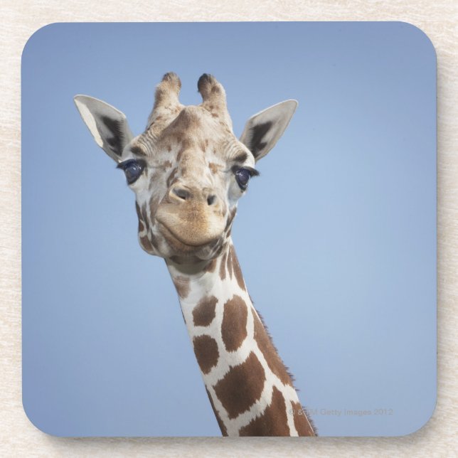 Giraffe 2 getränkeuntersetzer (Vorderseite)