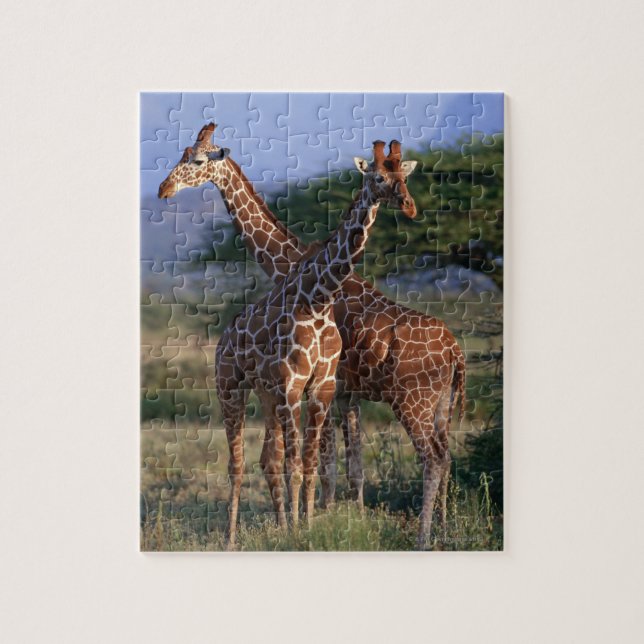 Giraffe 2 puzzle (Vertikal)
