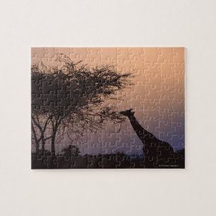 Giraffe 2 puzzle