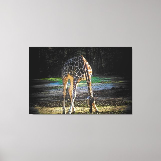 Giraffe 2Design Leinwanddruck (Vorderseite)