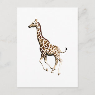 Giraffe 3 postkarte