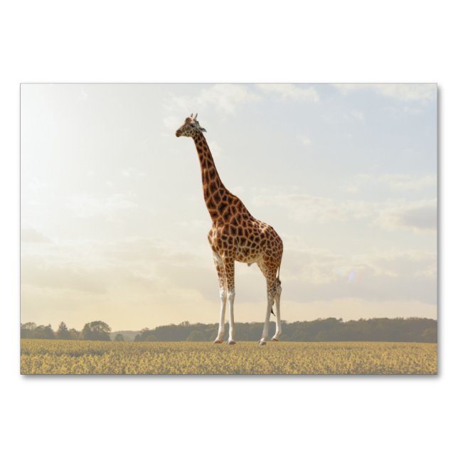 Giraffe ABA Tact Labeling Flashcard | Picture Card Tischnummer (Vorderseite)