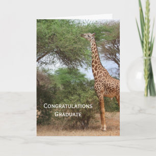 Giraffe Abschluss Card Karte