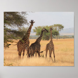 Giraffe Africa Animal Pattern Destiny's Destiny Poster