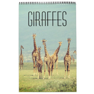 Giraffe afrikanische Safari Kalender