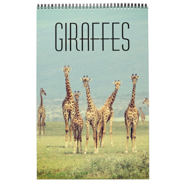 Giraffe afrikanische Safari Kalender (Titelbild)