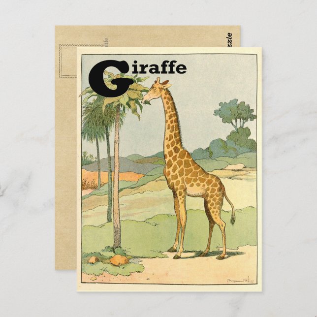 Giraffe Alphabet Animal Postkarte (Vorne/Hinten)