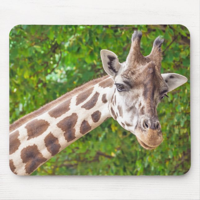 Giraffe Animal Portrait Foto Mousepad (Vorne)