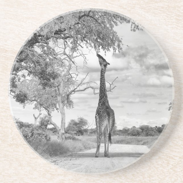 Giraffe auf der Straße Getränkeuntersetzer (Vorne)