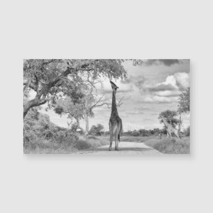 Giraffe auf der Straße Magnetkarte