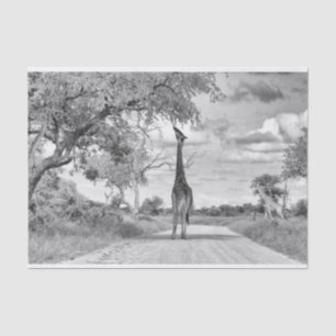 Giraffe auf der Straße Seidenpapier