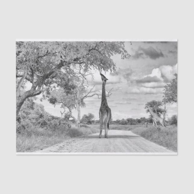 Giraffe auf der Straße Seidenpapier (Vorderseite)