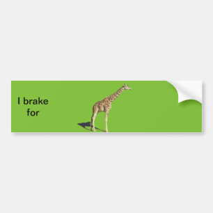 Giraffe Autoaufkleber