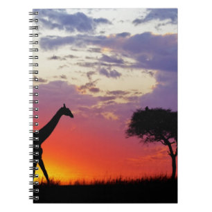 Giraffe bei Sonnenaufgang silhouettiert, Giraffa Notizblock
