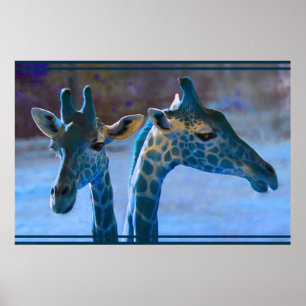 Giraffe Blue Poster -36x24 -kleinere erhältlich
