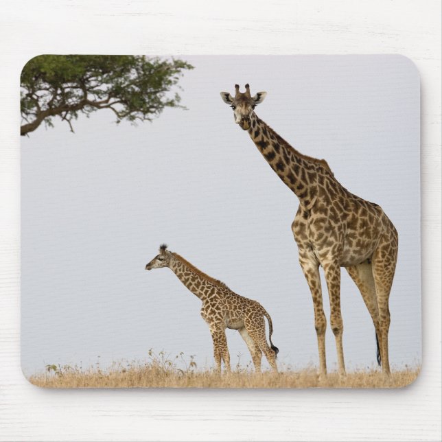 Giraffe Calf and Mama Mousepad (Vorne)