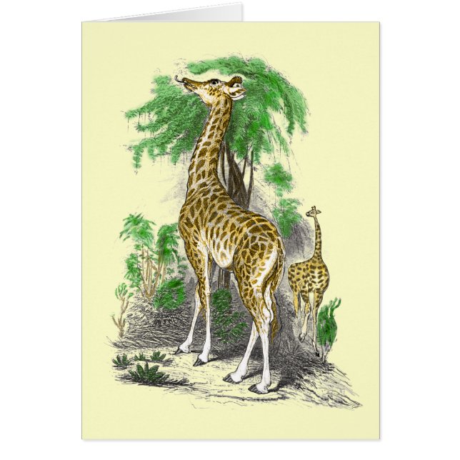 Giraffe Cards (Vorne)