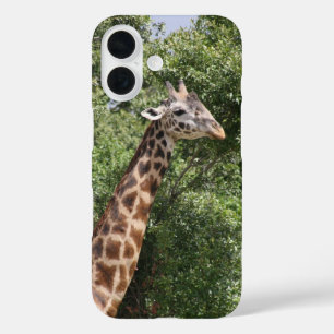 Giraffe iPhone 16 Hülle
