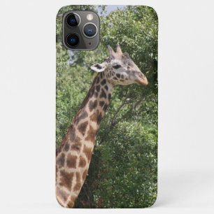 Giraffe iPhone 11 Pro Max Hülle