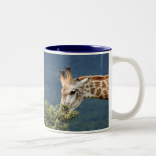 Giraffe, die einiges Blätter isst Zweifarbige Tasse
