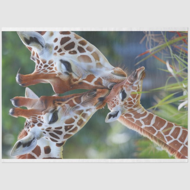 Giraffe, Digital Art Family Decoupage Seidenpapier (Vorderseite)