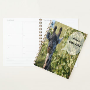 Giraffe-Dusche Planer