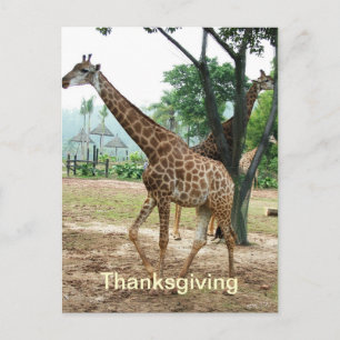 Giraffe Erntedank Postkarte