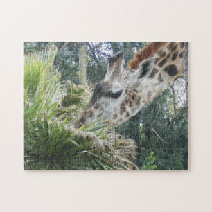 Giraffe Essen Nah Puzzle