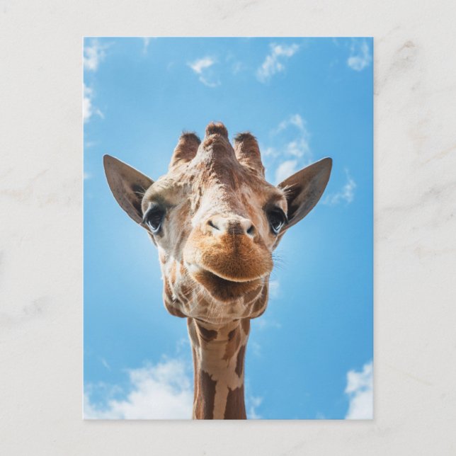 Giraffe Face Nah-up Foto Postcard Postkarte (Vorderseite)
