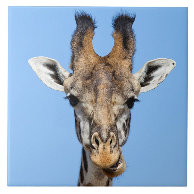 Giraffe Fliese (Vorderseite)