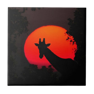 Giraffe Fliese