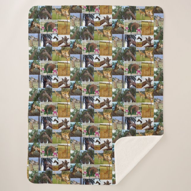 Giraffe-FotoCollage, Sherpadecke (Vorderseite)