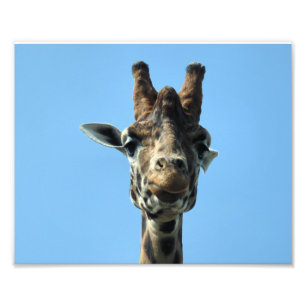 GIRAFFE FOTODRUCK