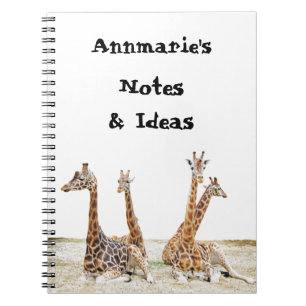 Giraffe Fun Foto - Vier-Giraffen-Sitzung Notizblock